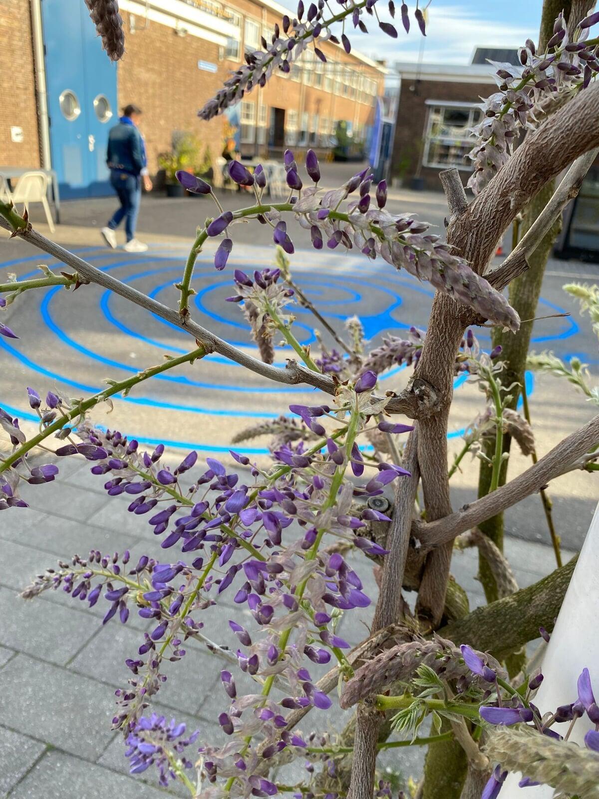 WalkingthebleulabyrinthBZF26